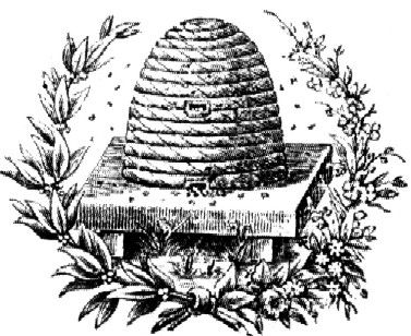 Bienenzuchtverein Prümer Land e.V.